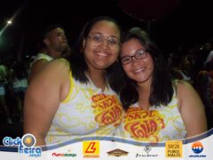 Bloco Skol Folia